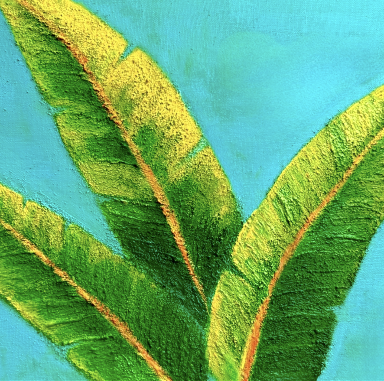 View recent photos 31.png