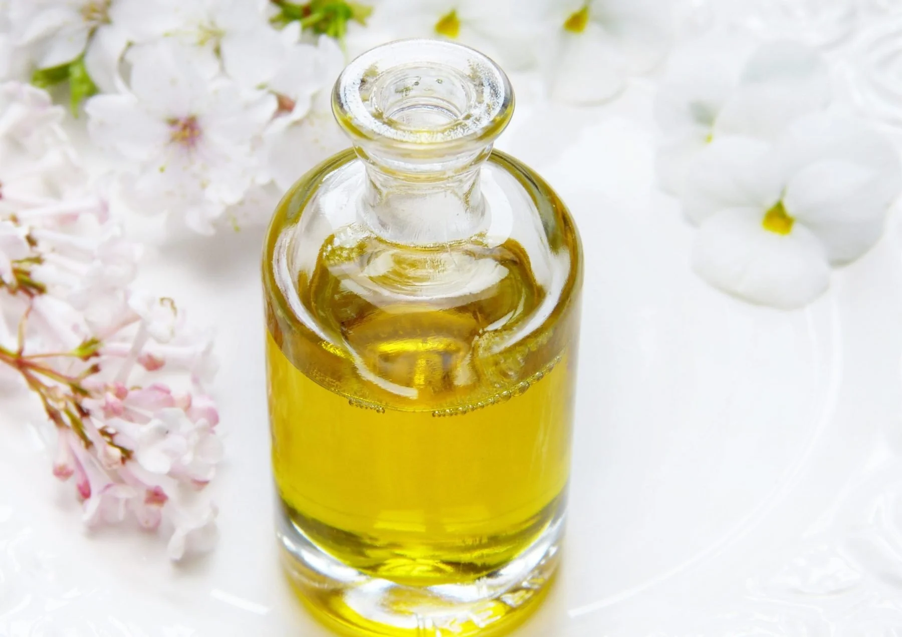 key-ingredients-carrier-oil_img1.jpg