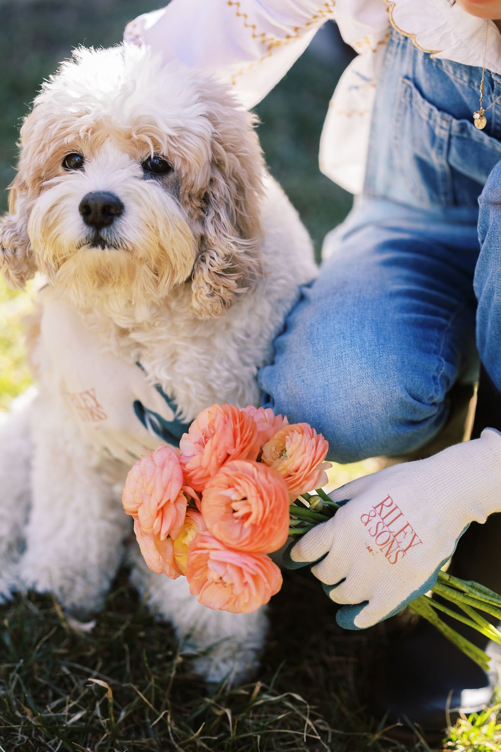 Riley & Sons Eco-Friendly Garden Gloves
