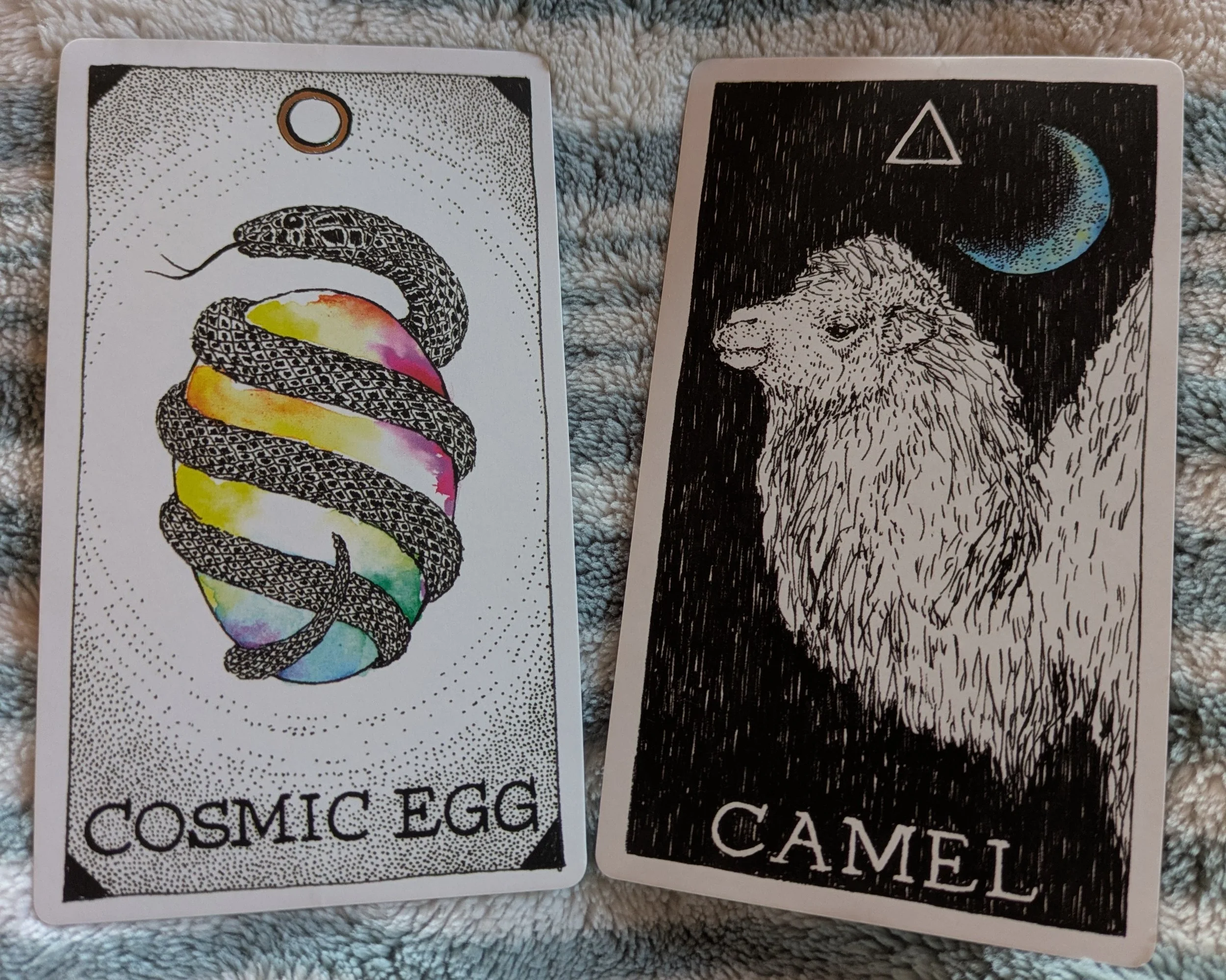 April 6 - 12th, 2026