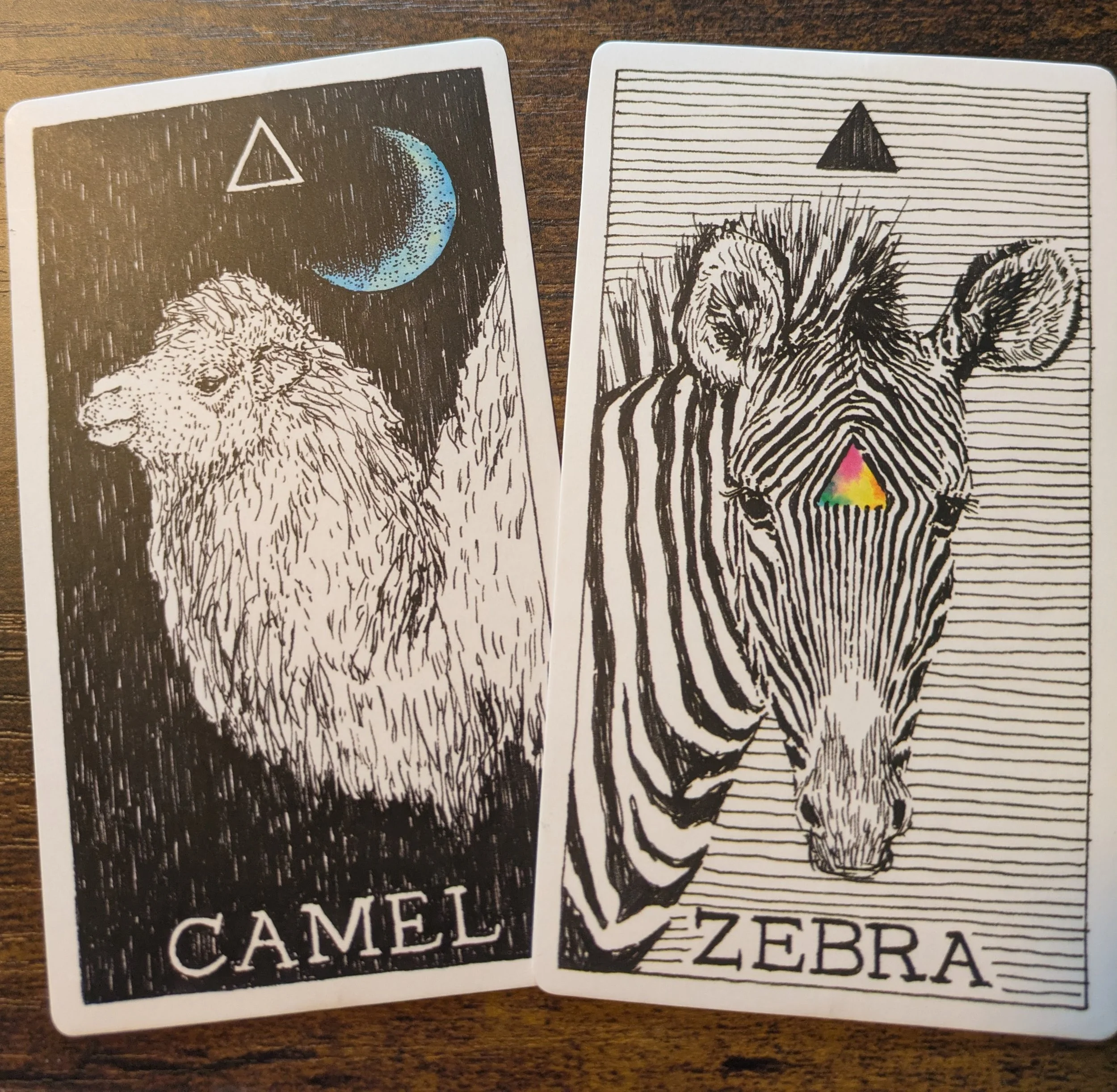 April 13 - 19th, 2026 