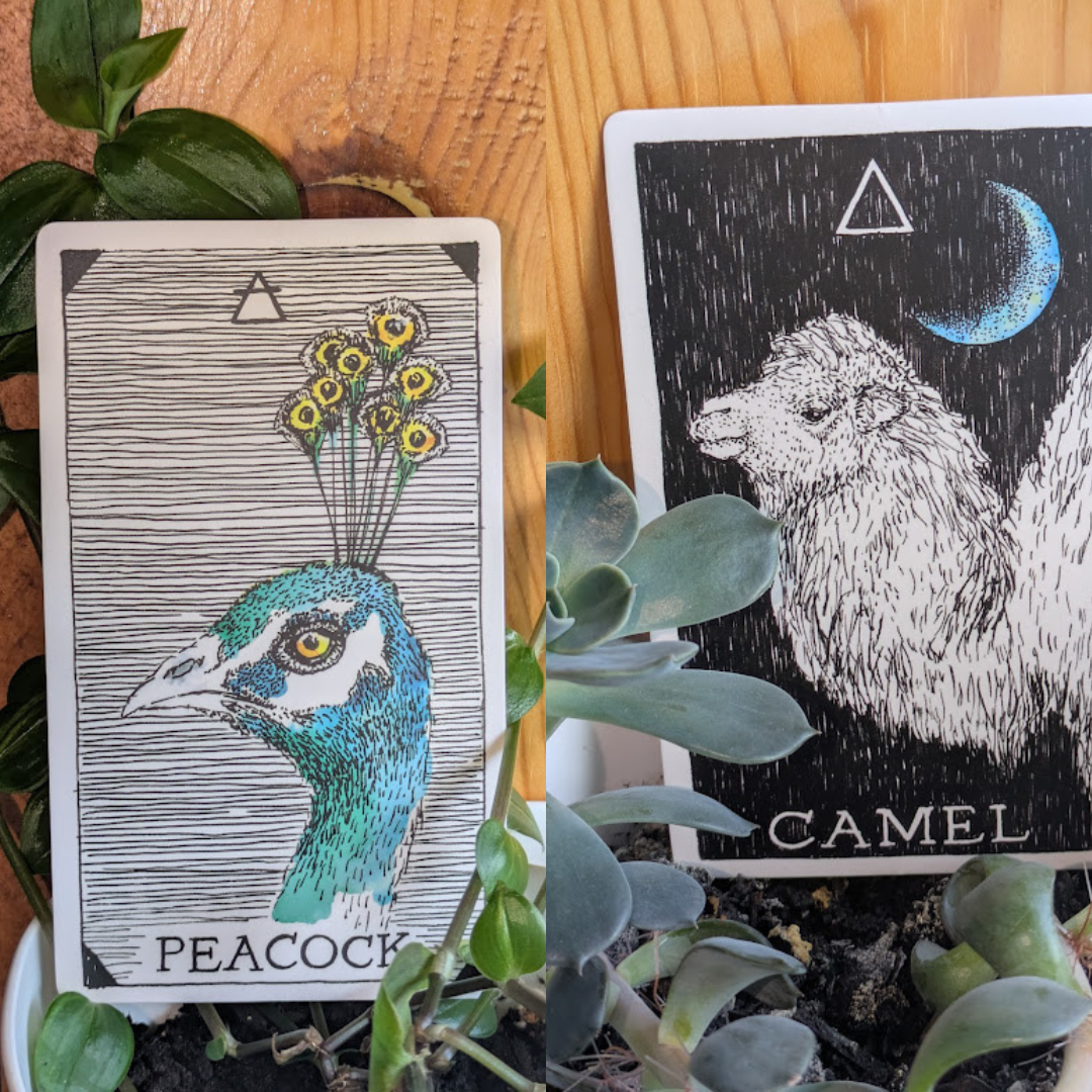 Acceptance &amp; Forgiveness: June 1-7, 2026