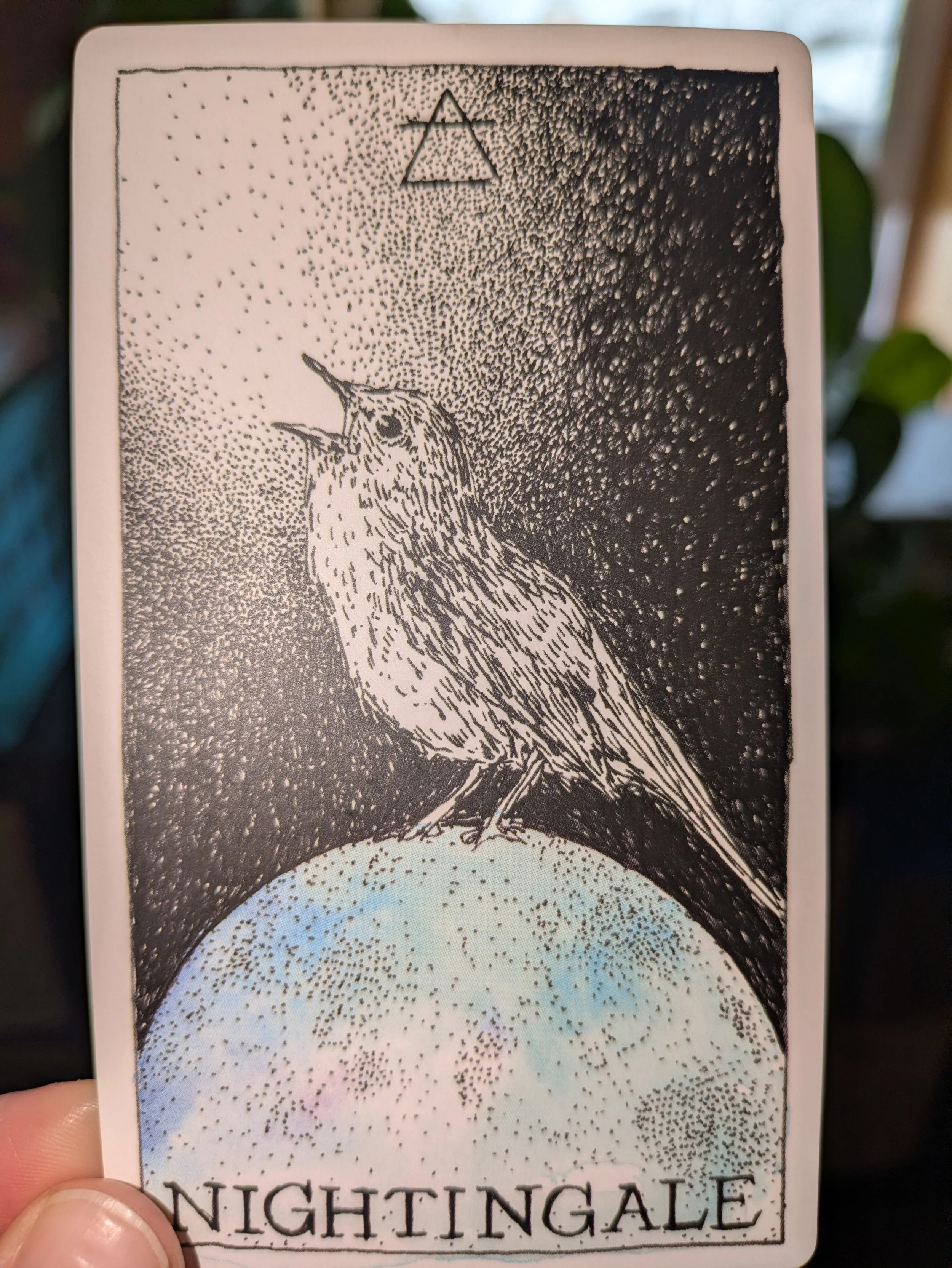 Nightingale card from the Animal Spirit Deck by Kim Kranz
