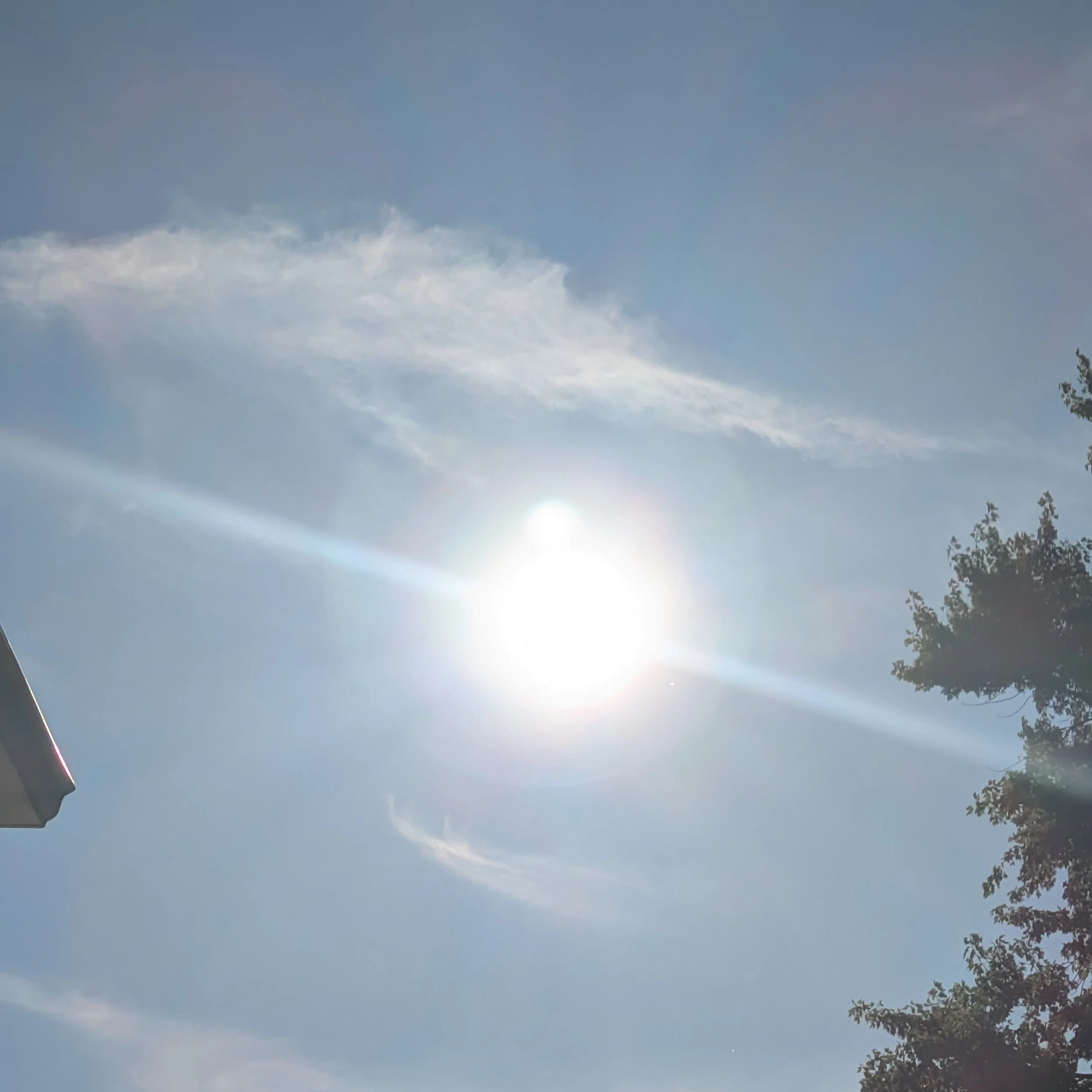 Sun codes cropped.jpg