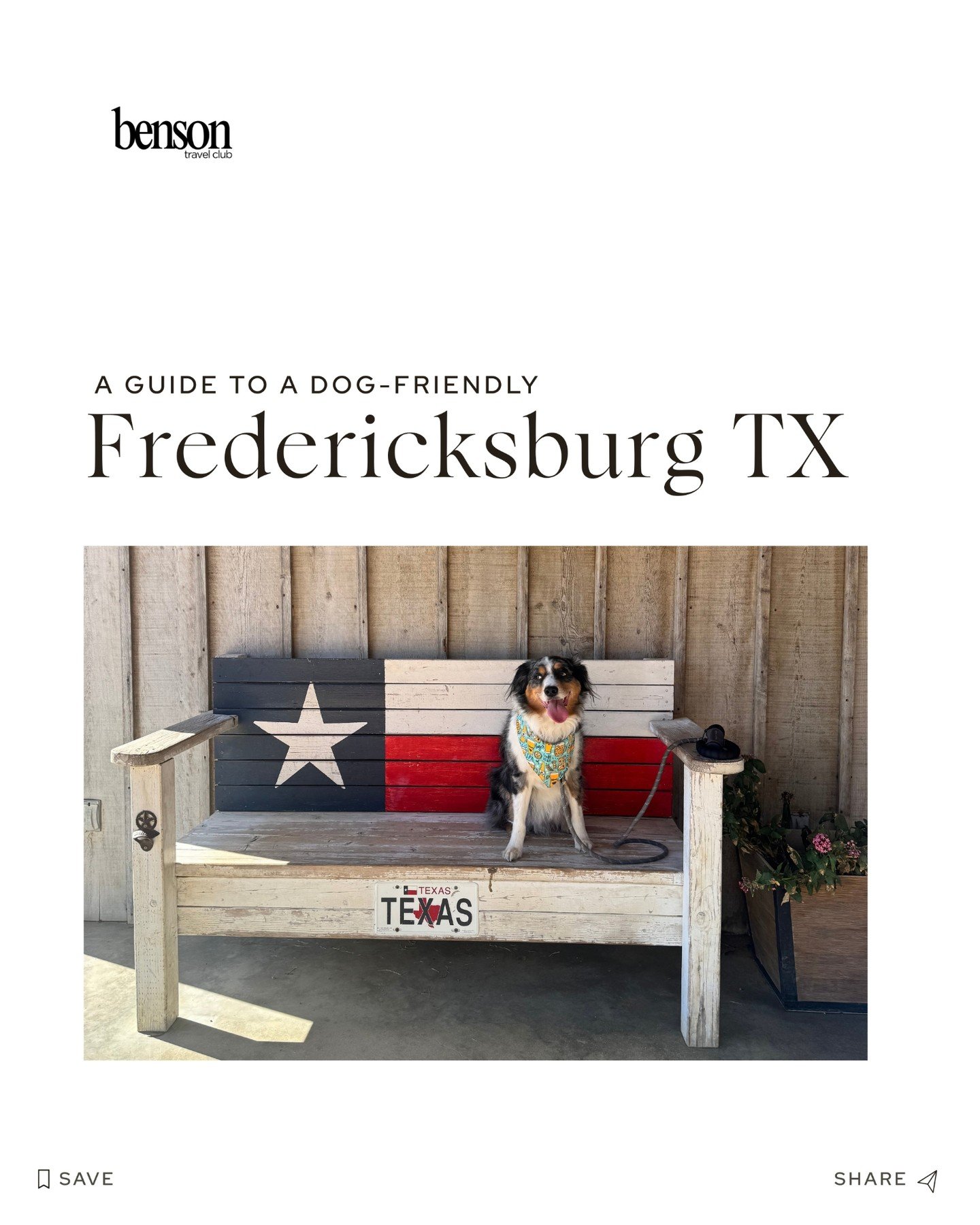 We don&rsquo;t travel with Ollie, we travel FOR Ollie 🐾

If there&rsquo;s a hotel bed involved, he&rsquo;s in. And honestly&hellip; same.

Fredericksburg is one of our favorite dog friendly getaways. A cozy stay at @alberthotelfbgtx, walkable street