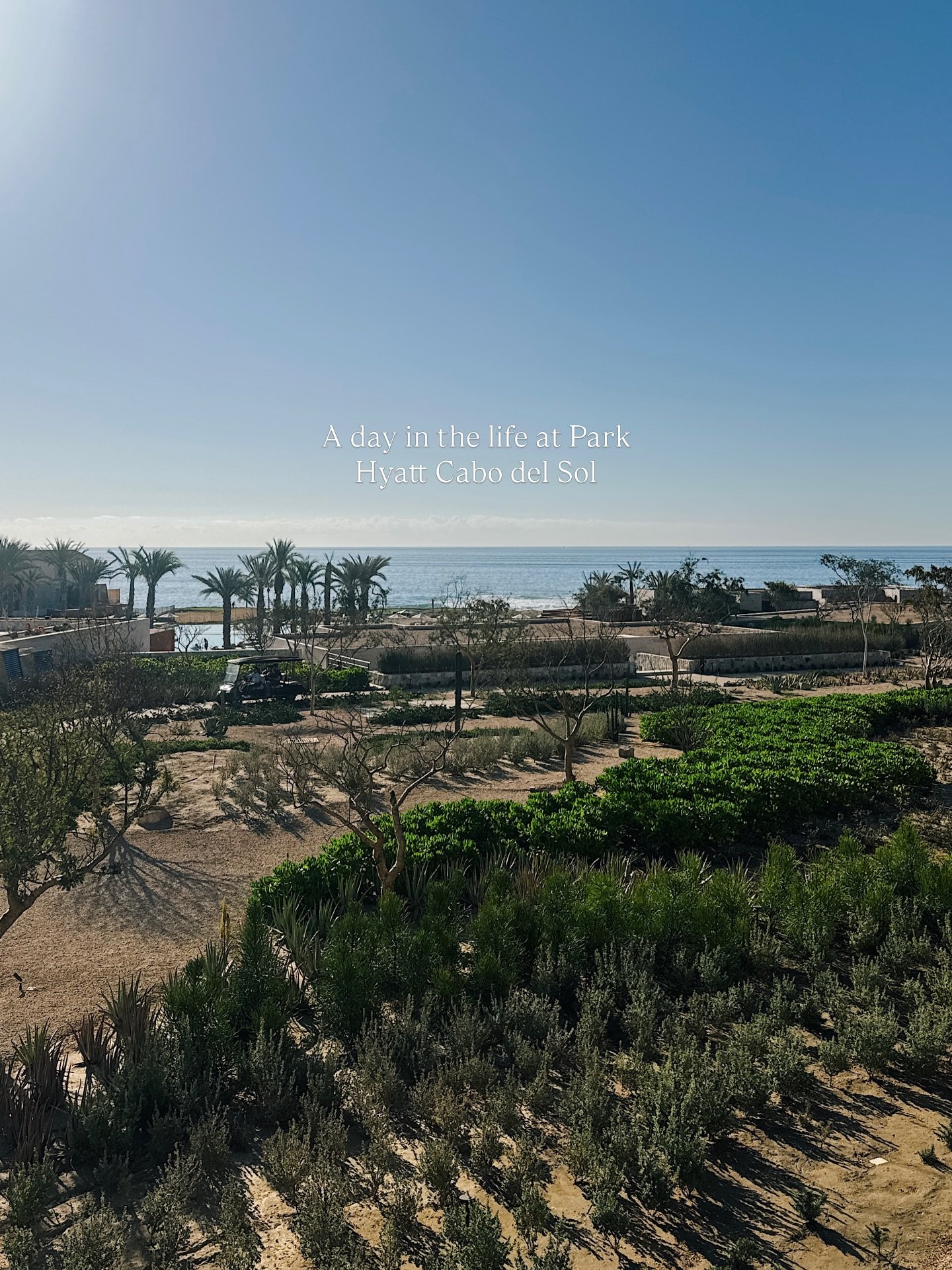 If you&rsquo;ve been wondering what a perfect day at Park Hyatt Cabo Del Sol is like, this is it 😍

Morning views over the Sea of Cortez, breakfast at Mesa Madre, golf cart rides to the adults only pool at Costamar, lunch poolside, an afternoon coff