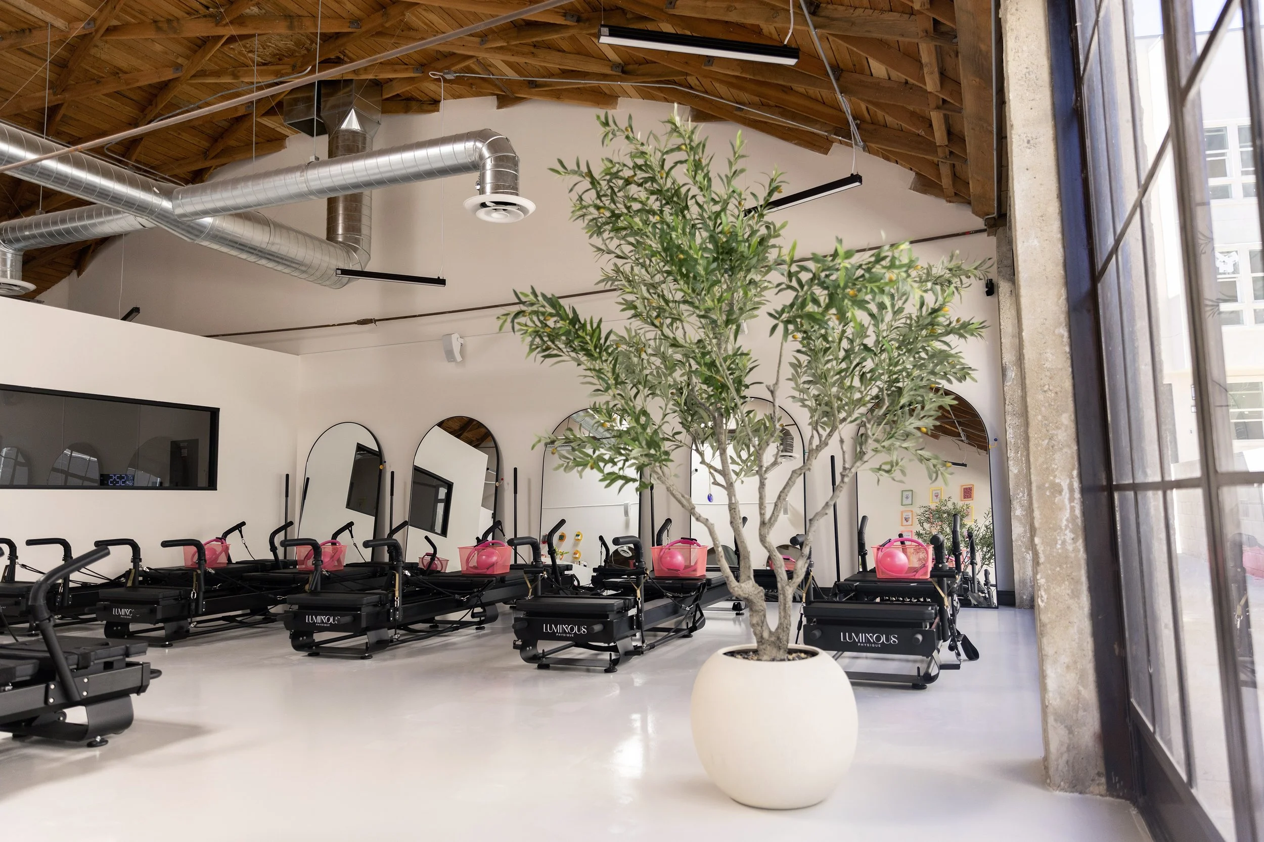 Luminous Physique Studio