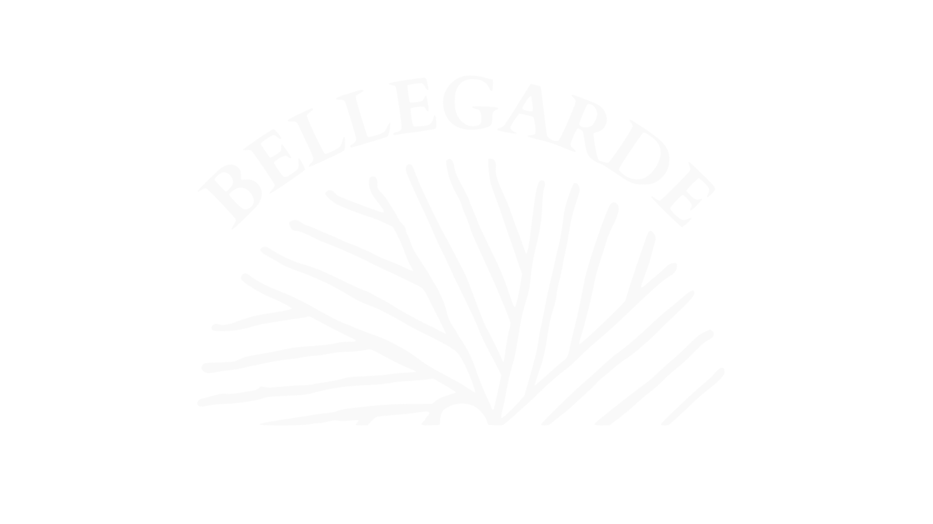 Black background with a white logo of a peony flower and the phrase "BELLEAGARDE" arched above it.