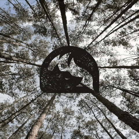 The Wolf and Her Hearth - Branding and Strategy