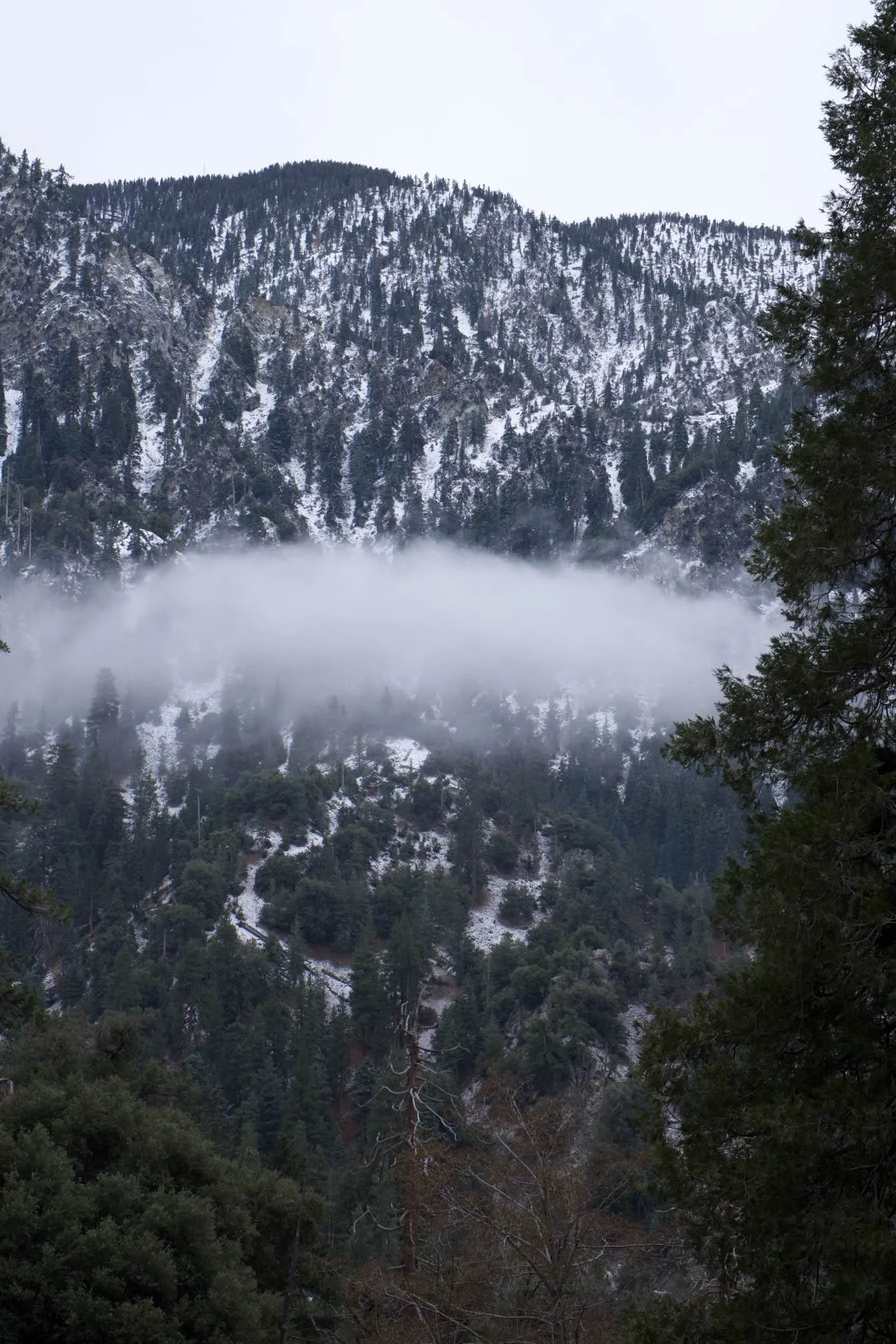 MicrosoftTeams-image (54).png