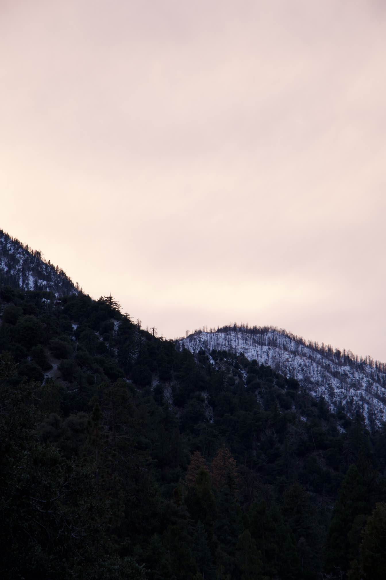 MicrosoftTeams-image (57).png