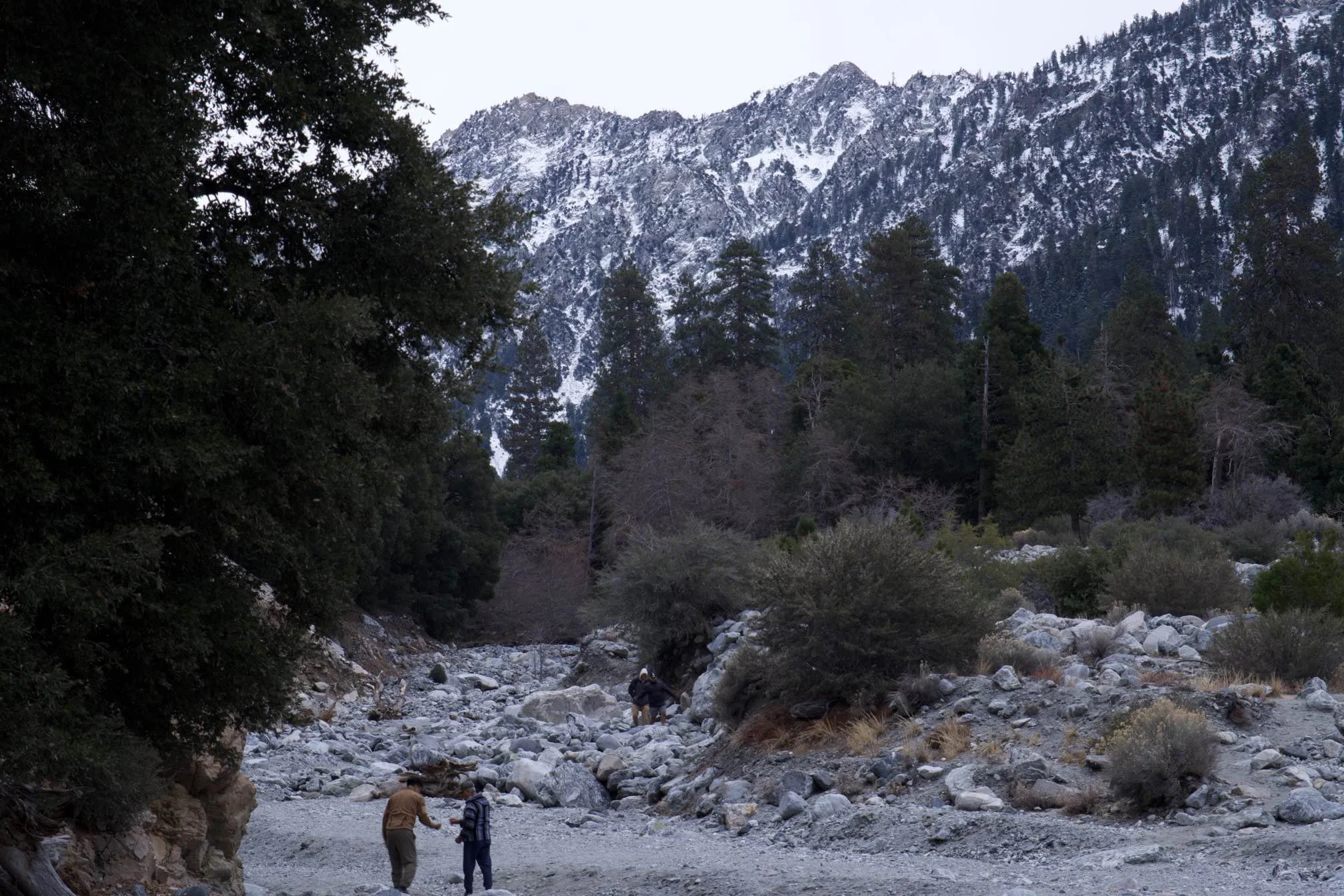 MicrosoftTeams-image (55).png