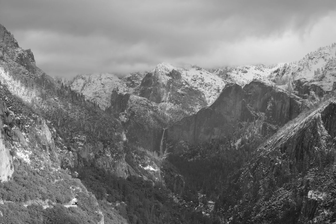 DSCF1161.jpg