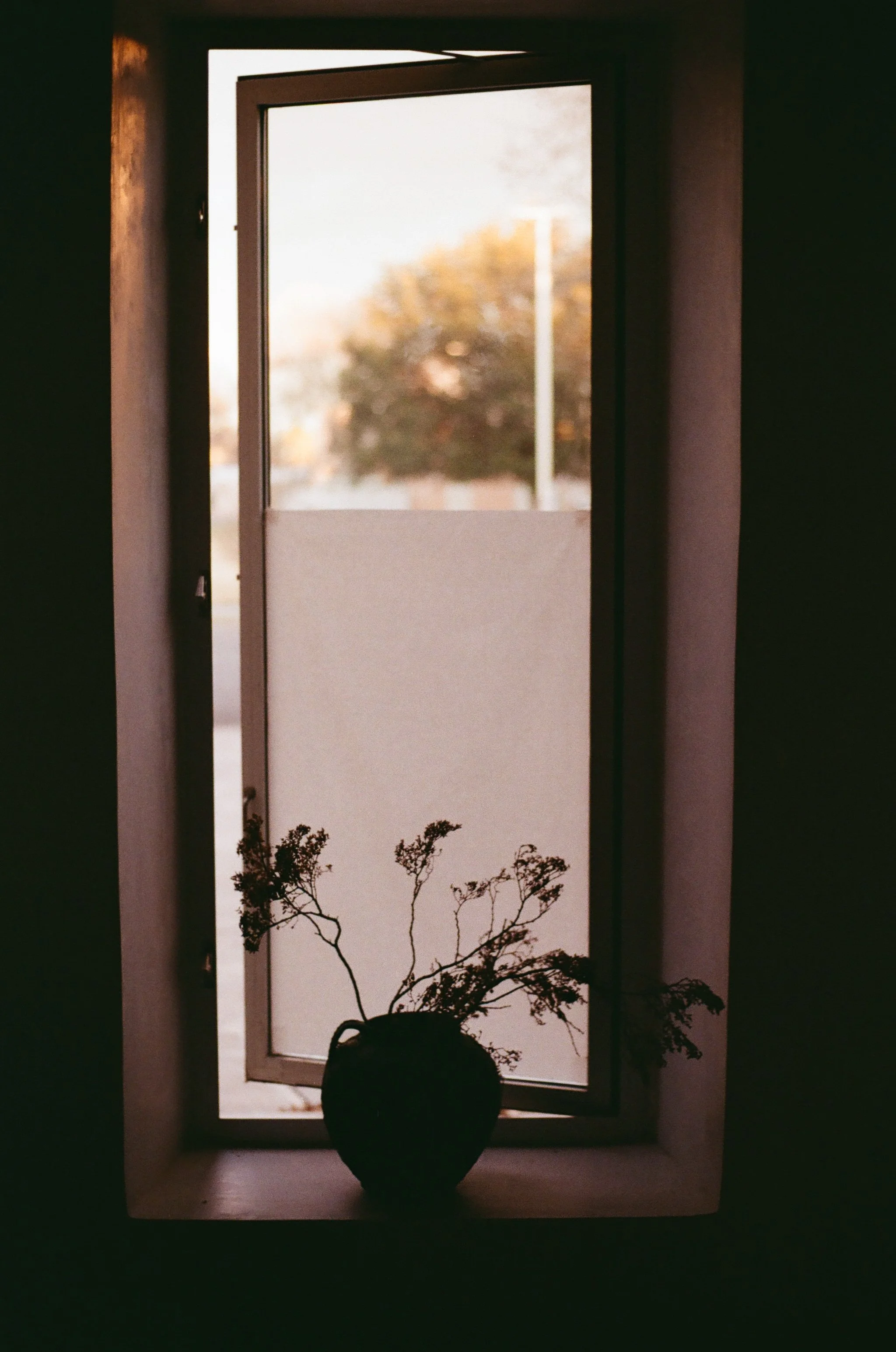 000256900025_Elan2eb.jpg