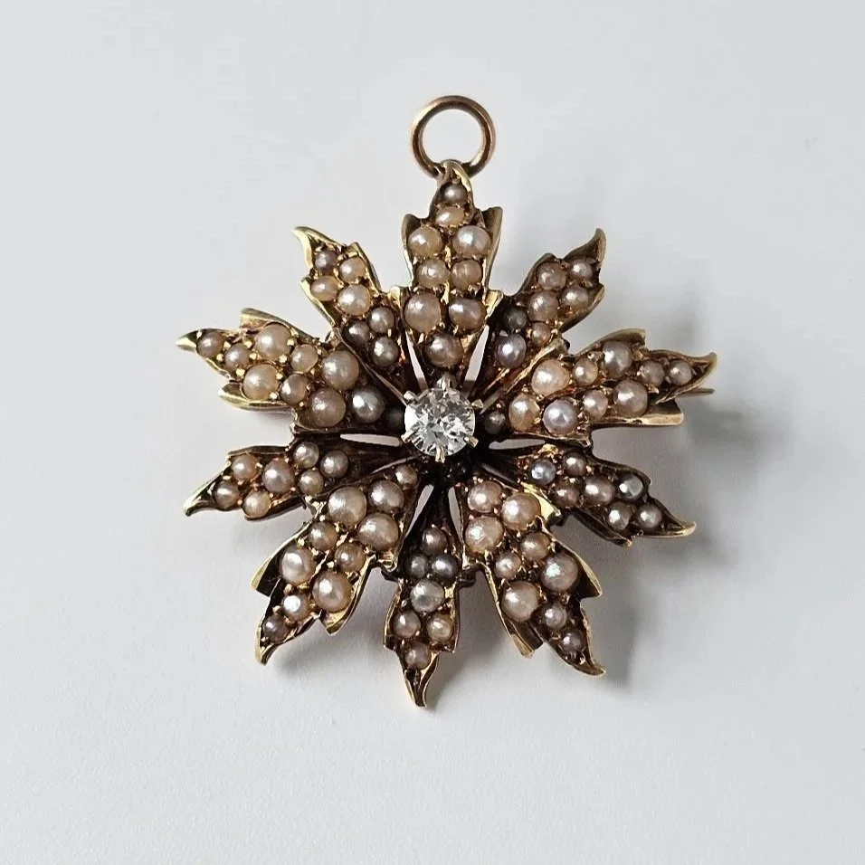 3156383996709546095.jpg