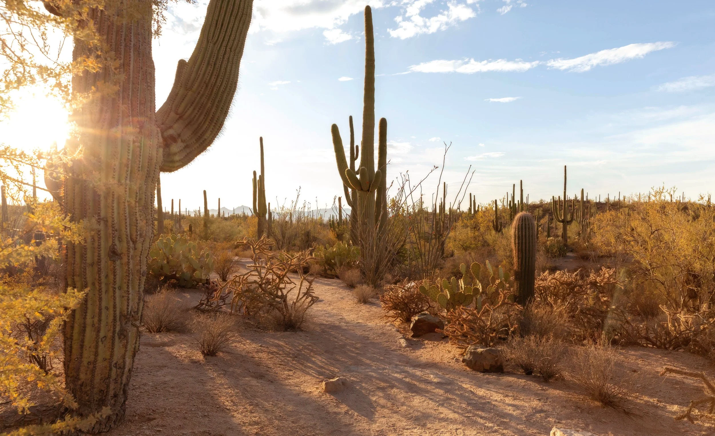 How Arizona's Climate Ages Your Skin Faster and What to Do About It