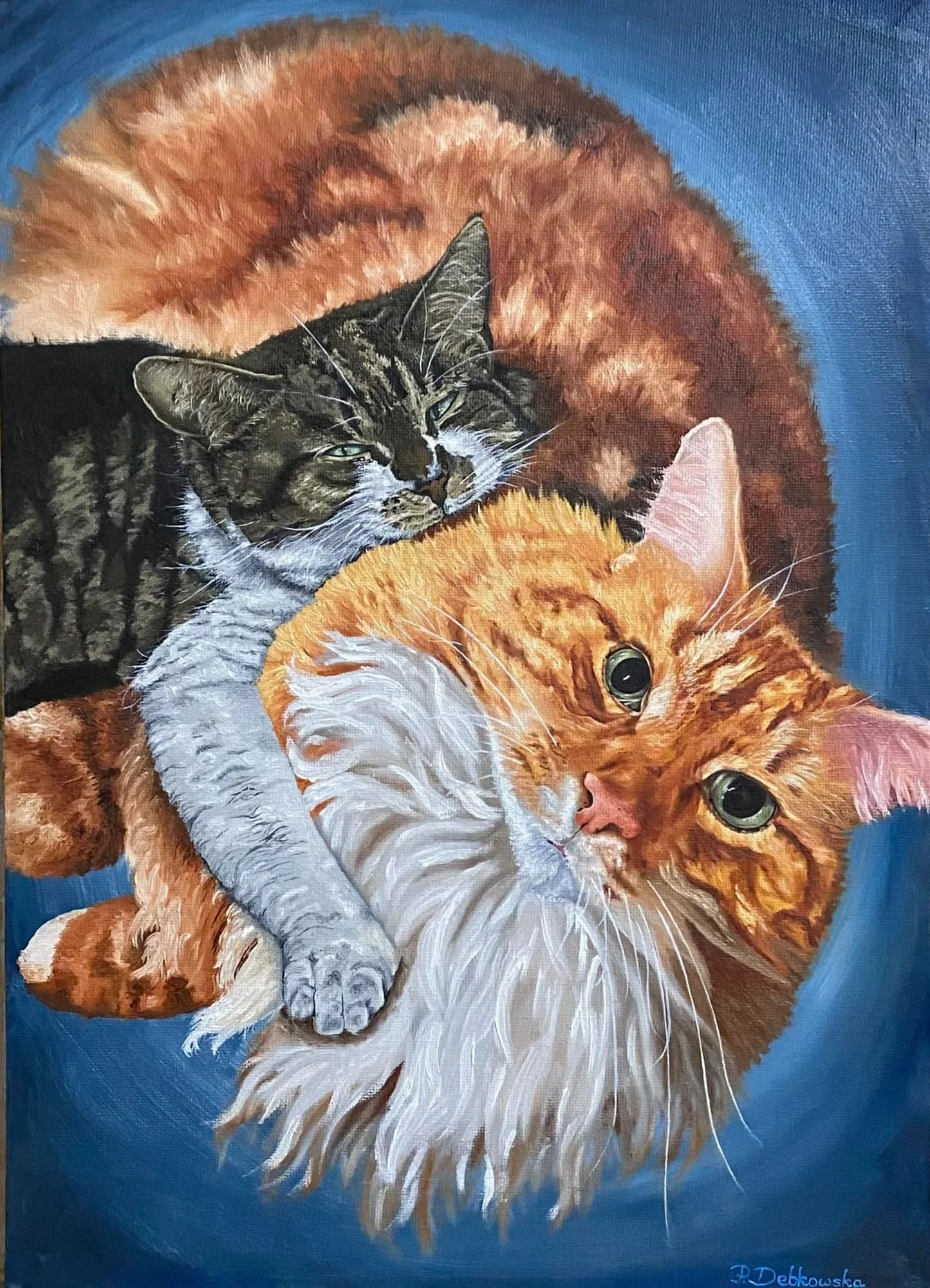 Dexter-+Cat+Charity.jpg