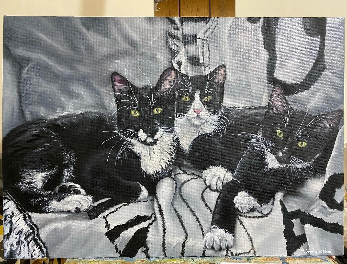 Kittens-+cat+charity.jpg