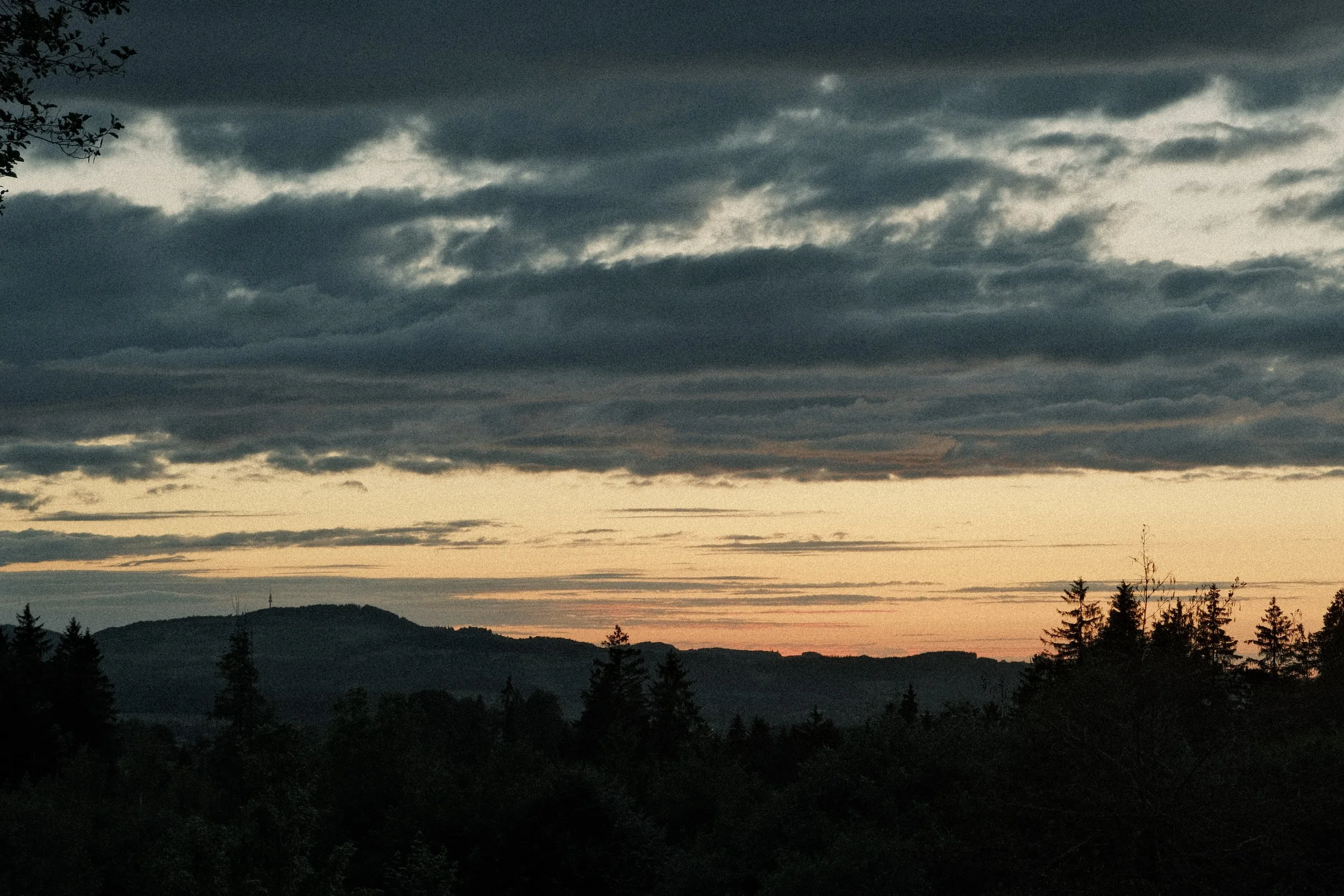 29-DSCF2604.jpg