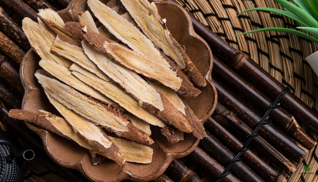 Astragalus Root: Health Benefits and Uses