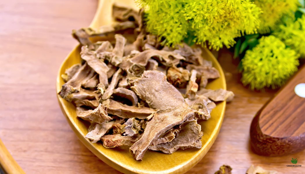 Rhodiola Rosea: Nature’s Stress-Busting Herb