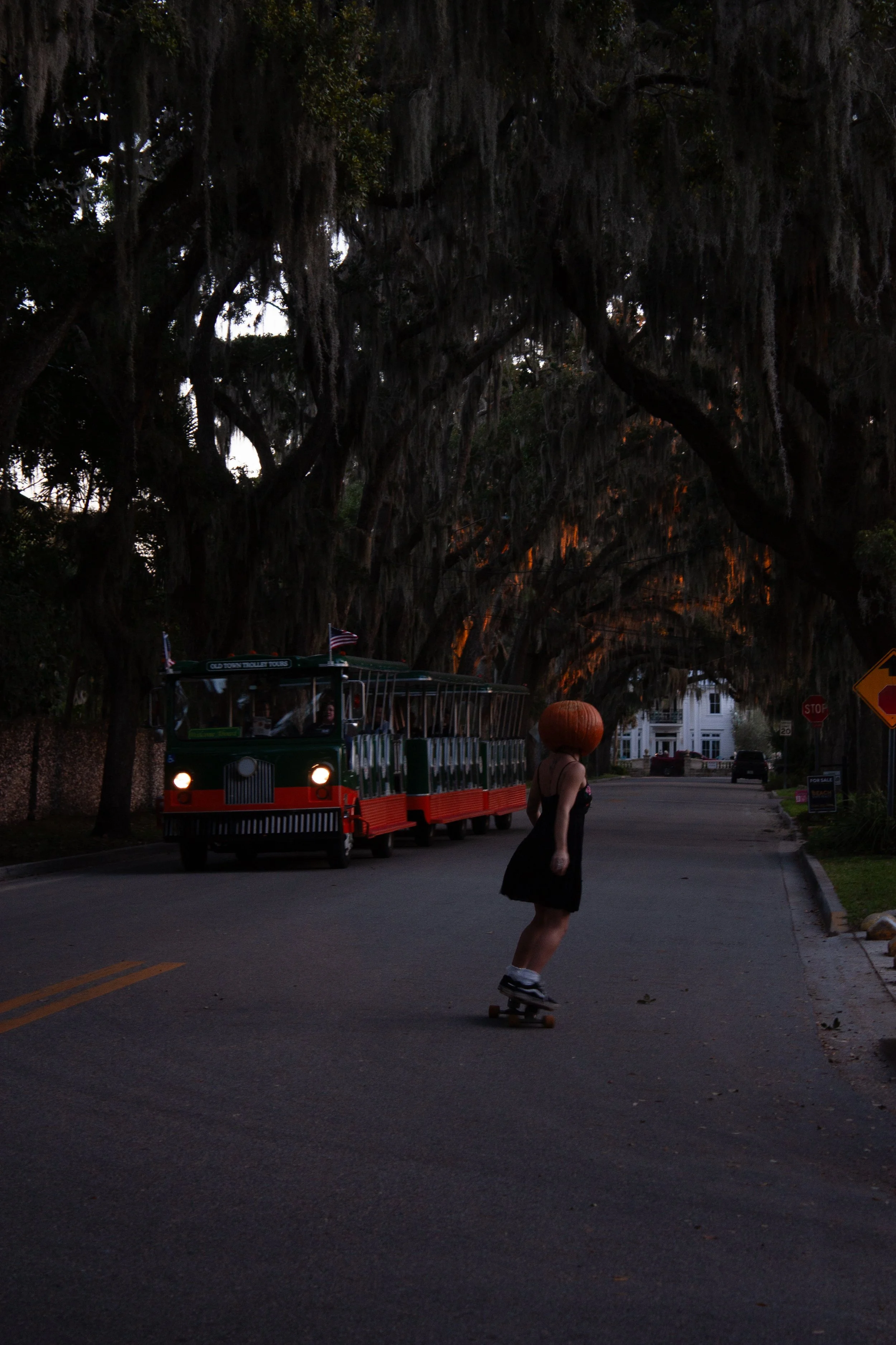 _MG_5373.jpg
