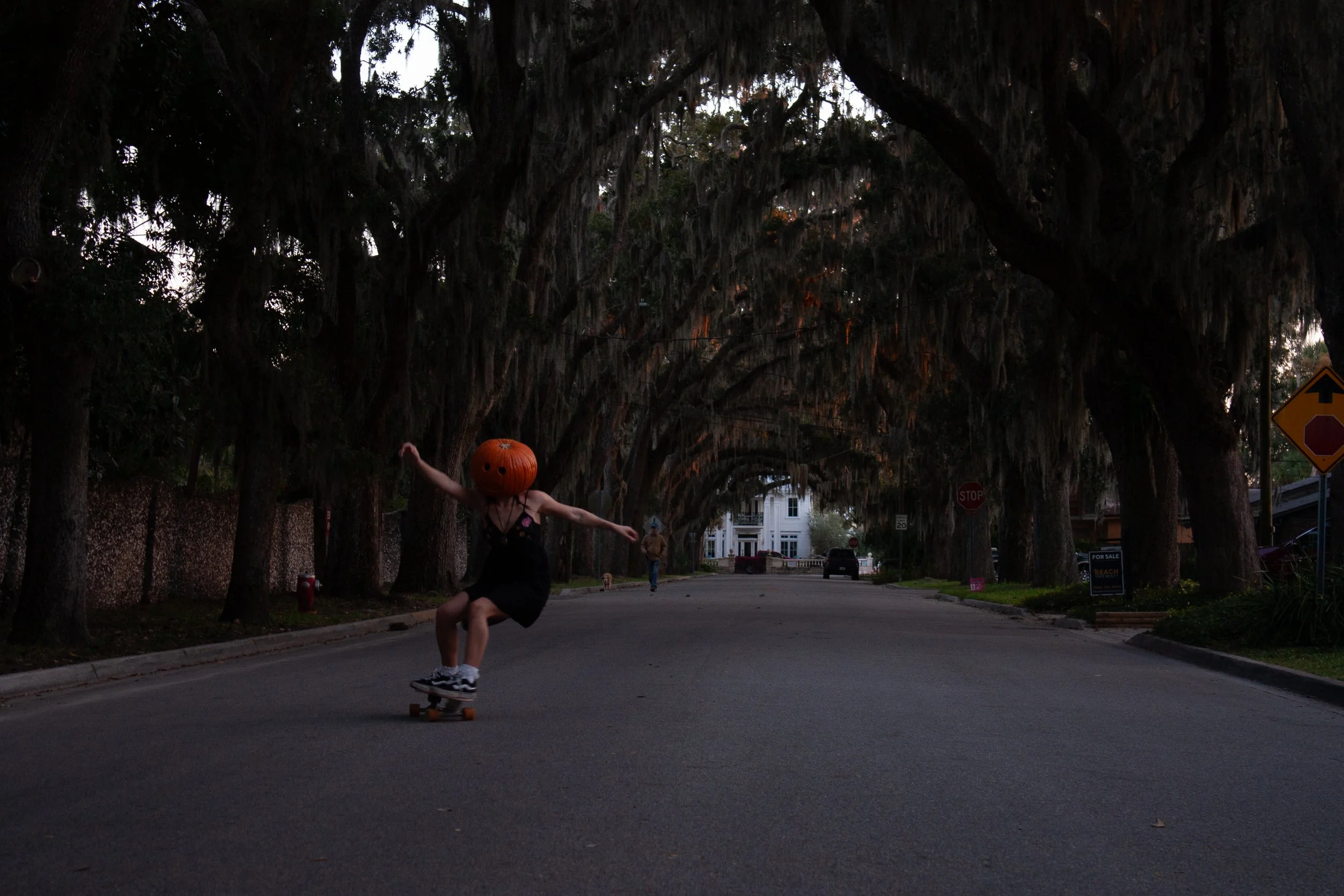 _MG_5458.jpg