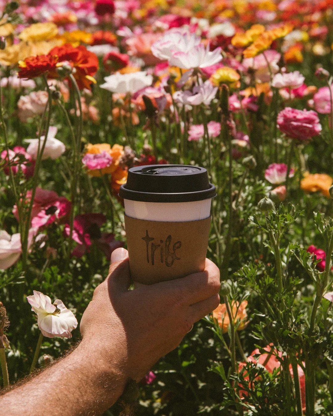 flower3.jpg
