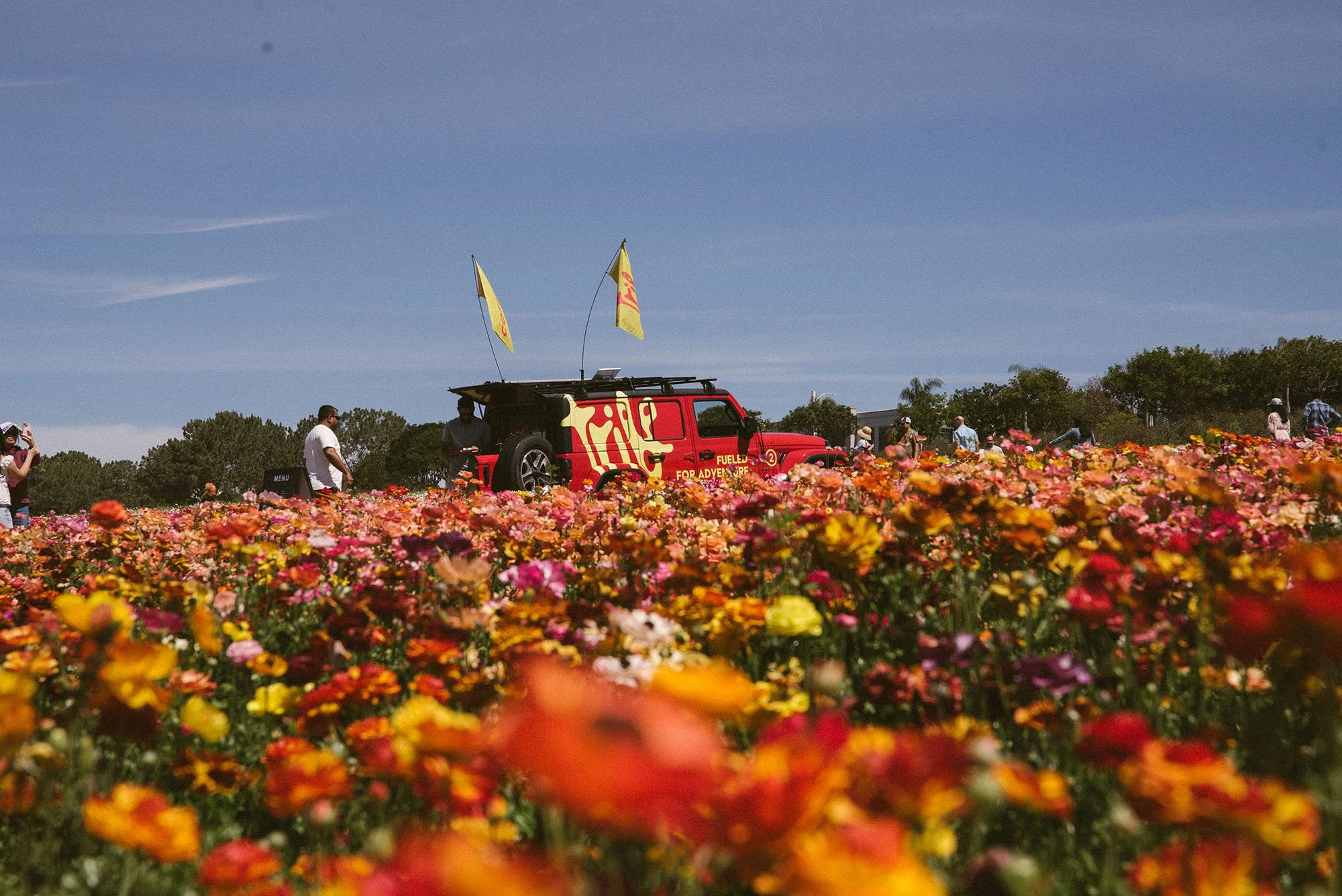 tribe_coffee_wagon_flower_feilds_2.jpg