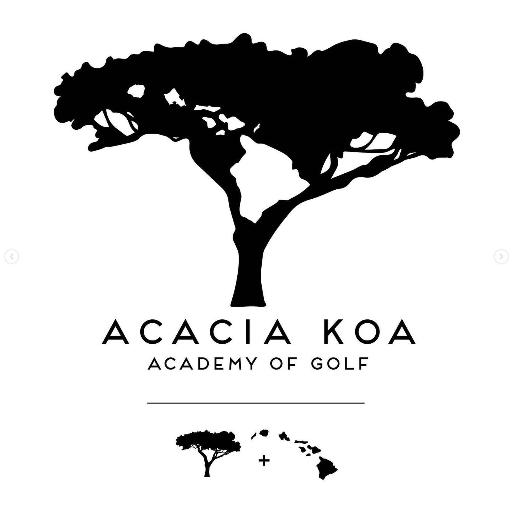 4seasons_golf acedemy.png