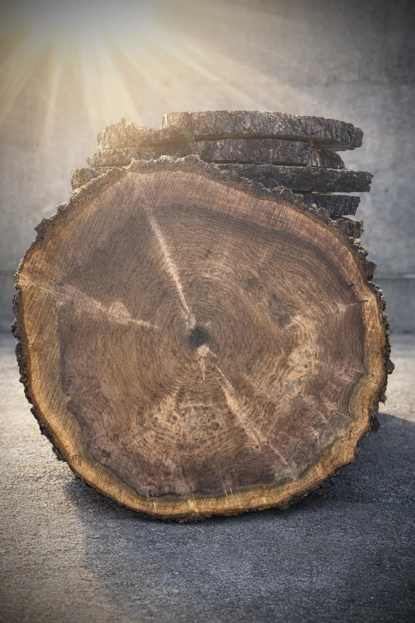 live edge cookies crosscut walnut slabs sonoma marin county