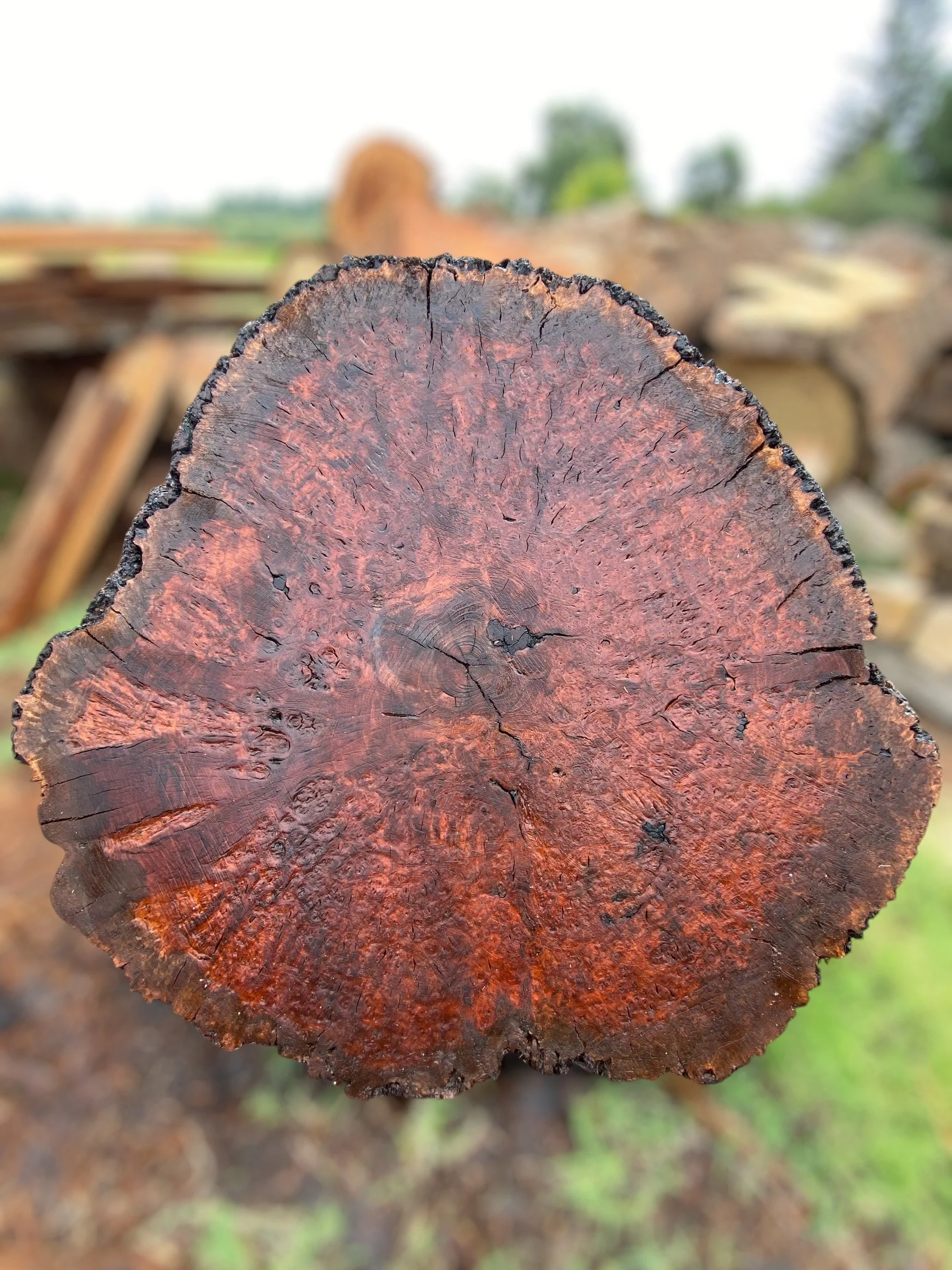 live edge cookies crosscut walnut slabs sonoma marin county