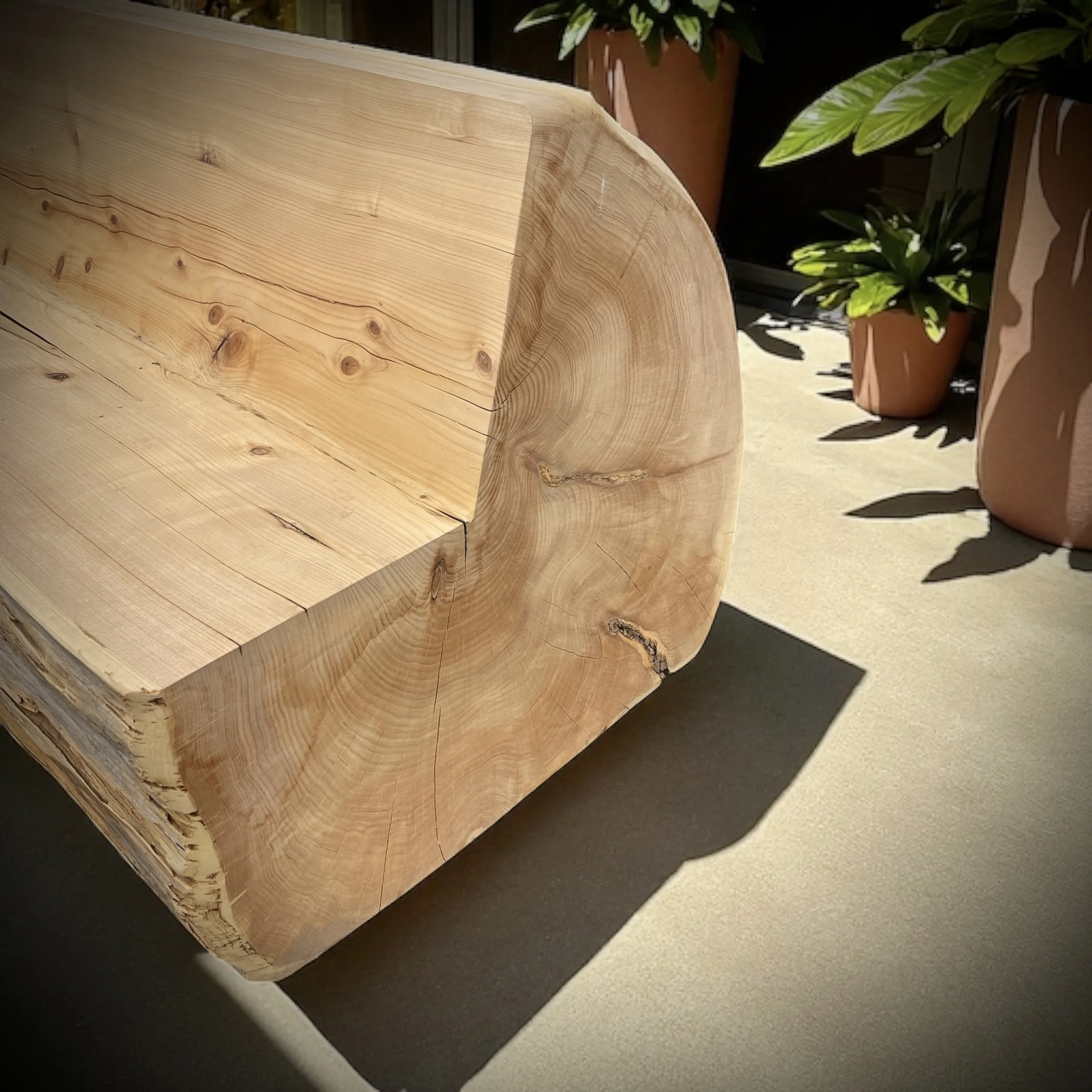 live edge landscape log bench bay area sonoma marin county