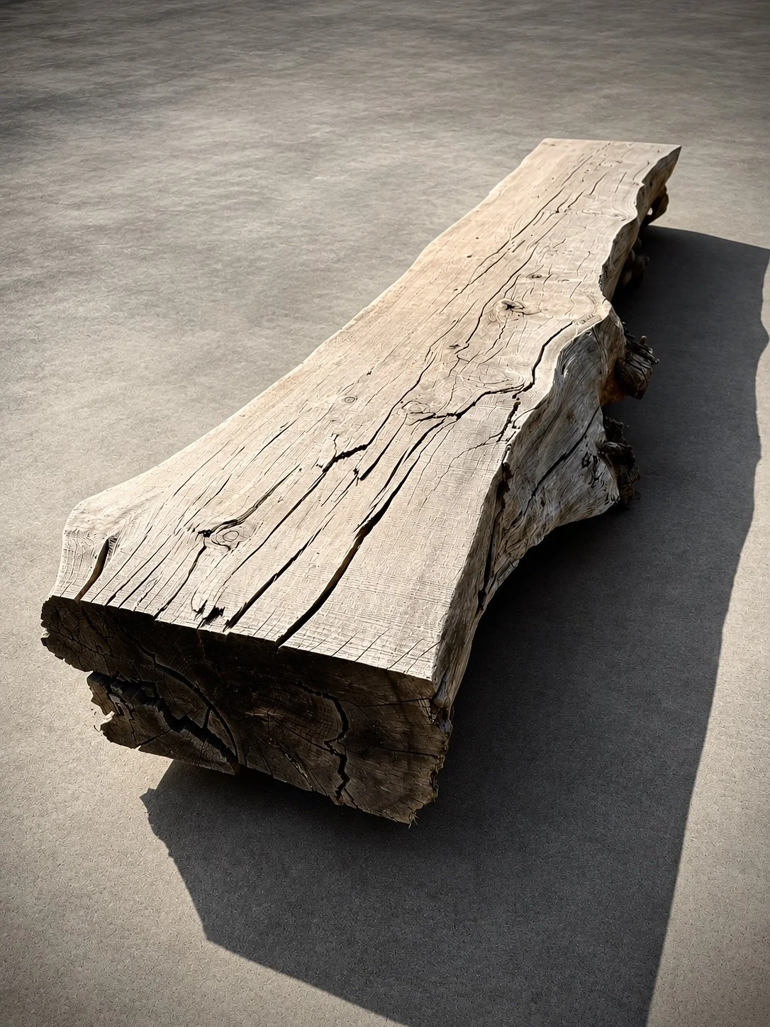 Outdoor XXL live edge log bench Monterey Cypress landscape design rustic bench timber