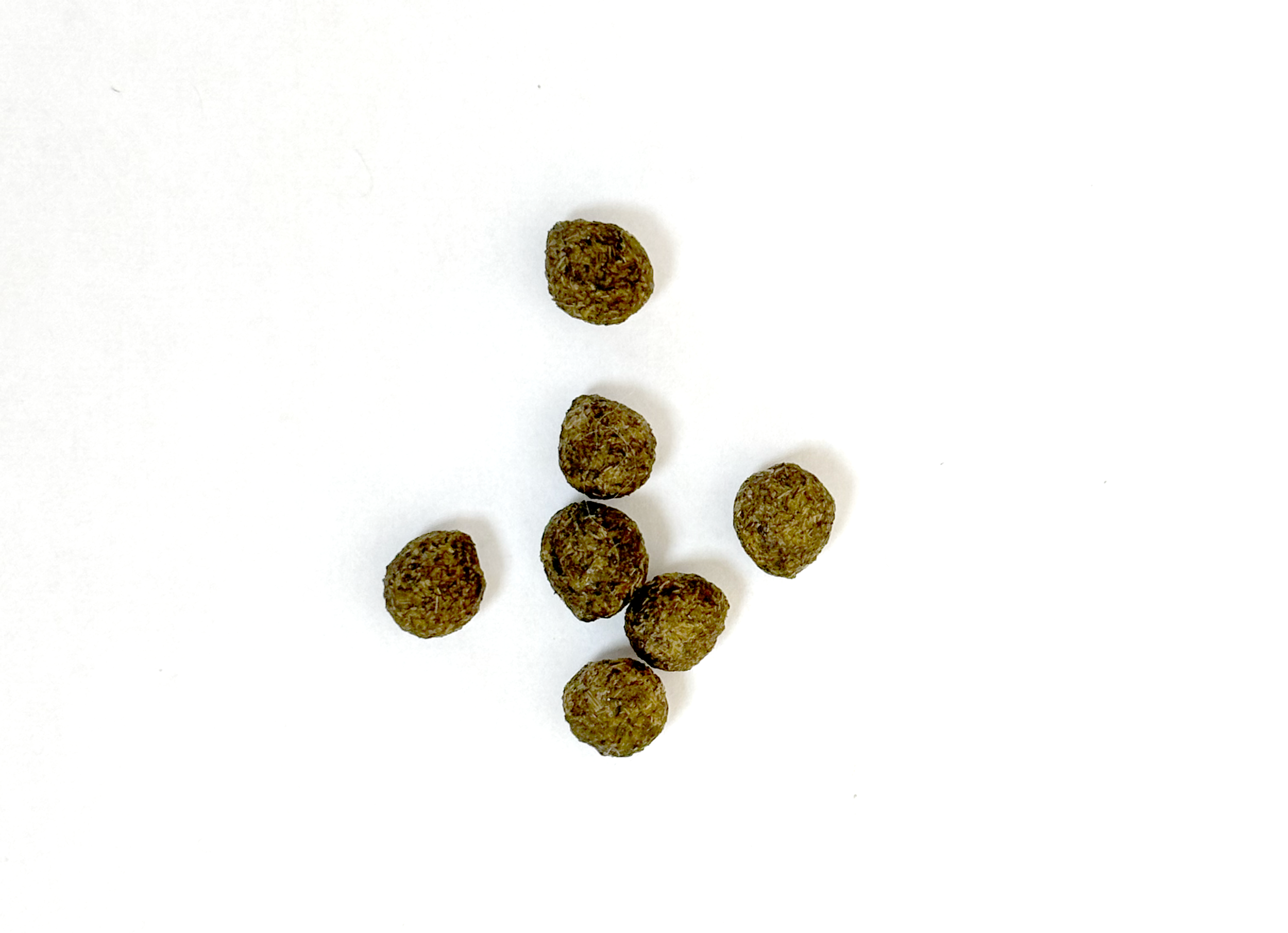 Rabbit Droppings As Health Indicators — House Rabbit Society