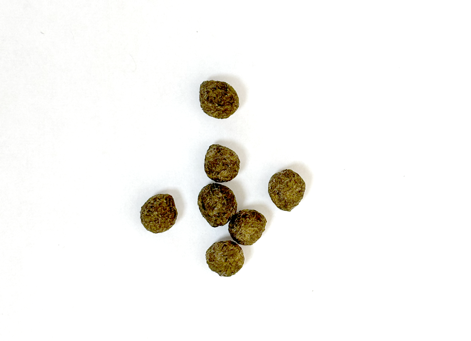 Rabbit Droppings As Health Indicators — House Rabbit Society