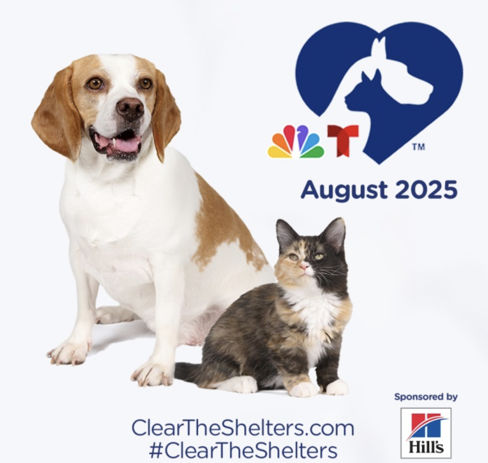 Clear the Shelters!