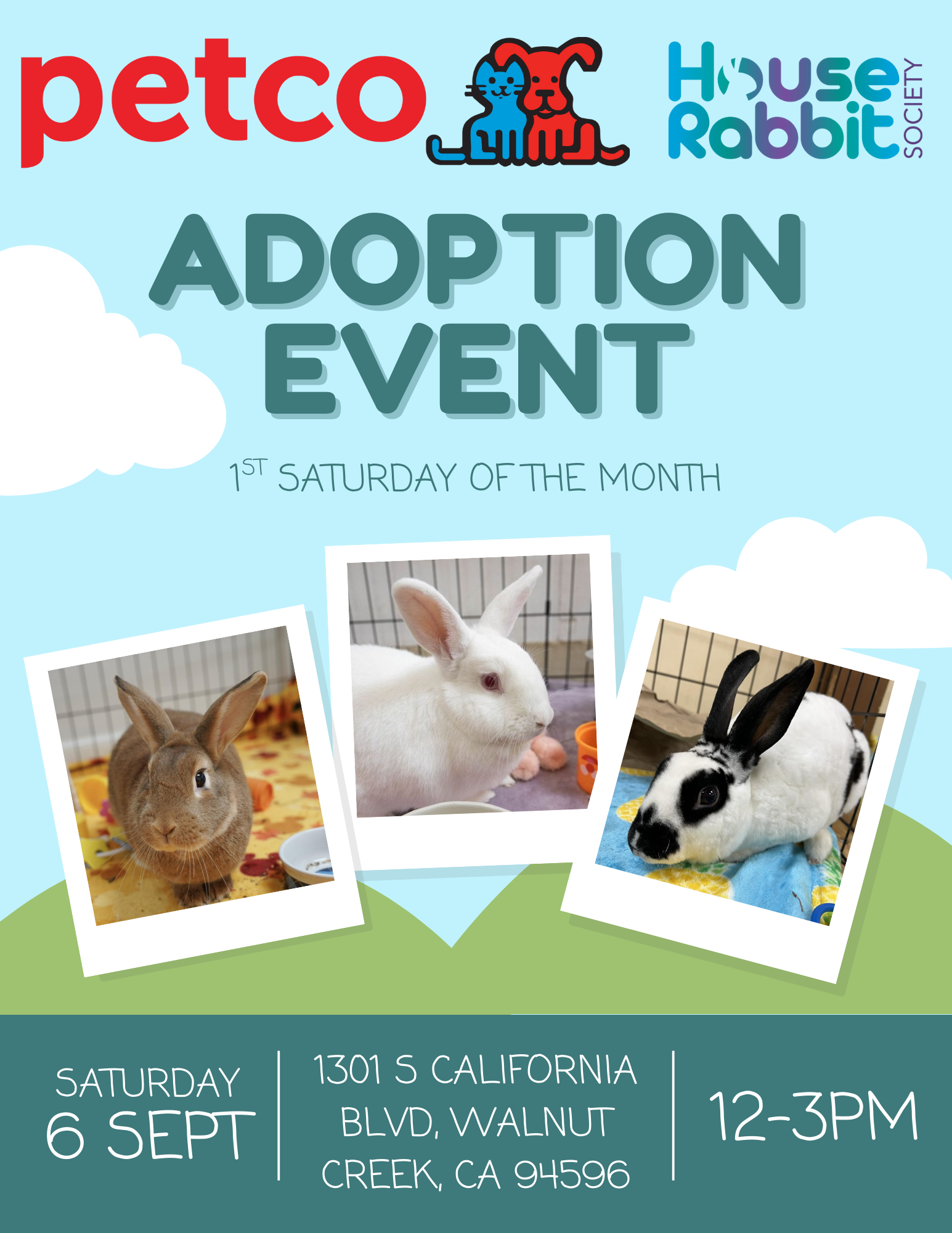 Monthly Petco Adoption Event