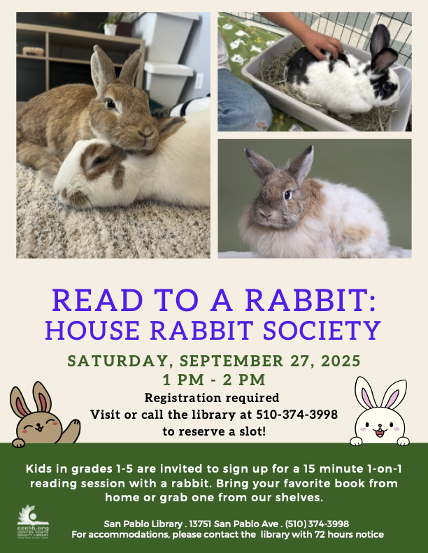 Read to a Rabbit: San Pablo Library