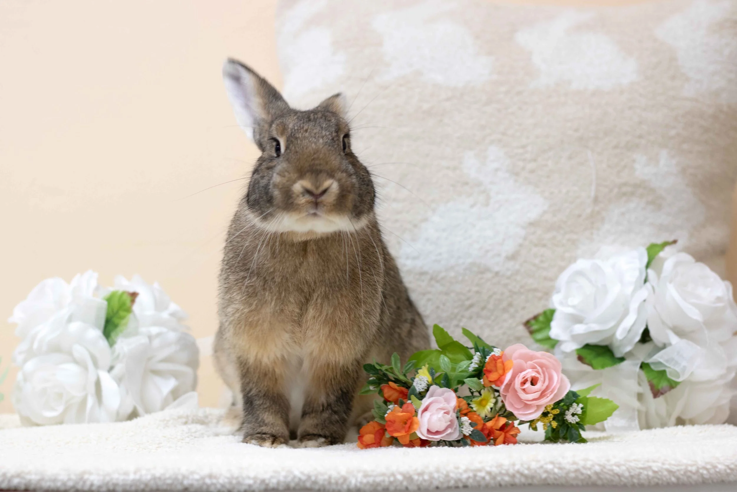 Claremont Hotel Spring Carnival 