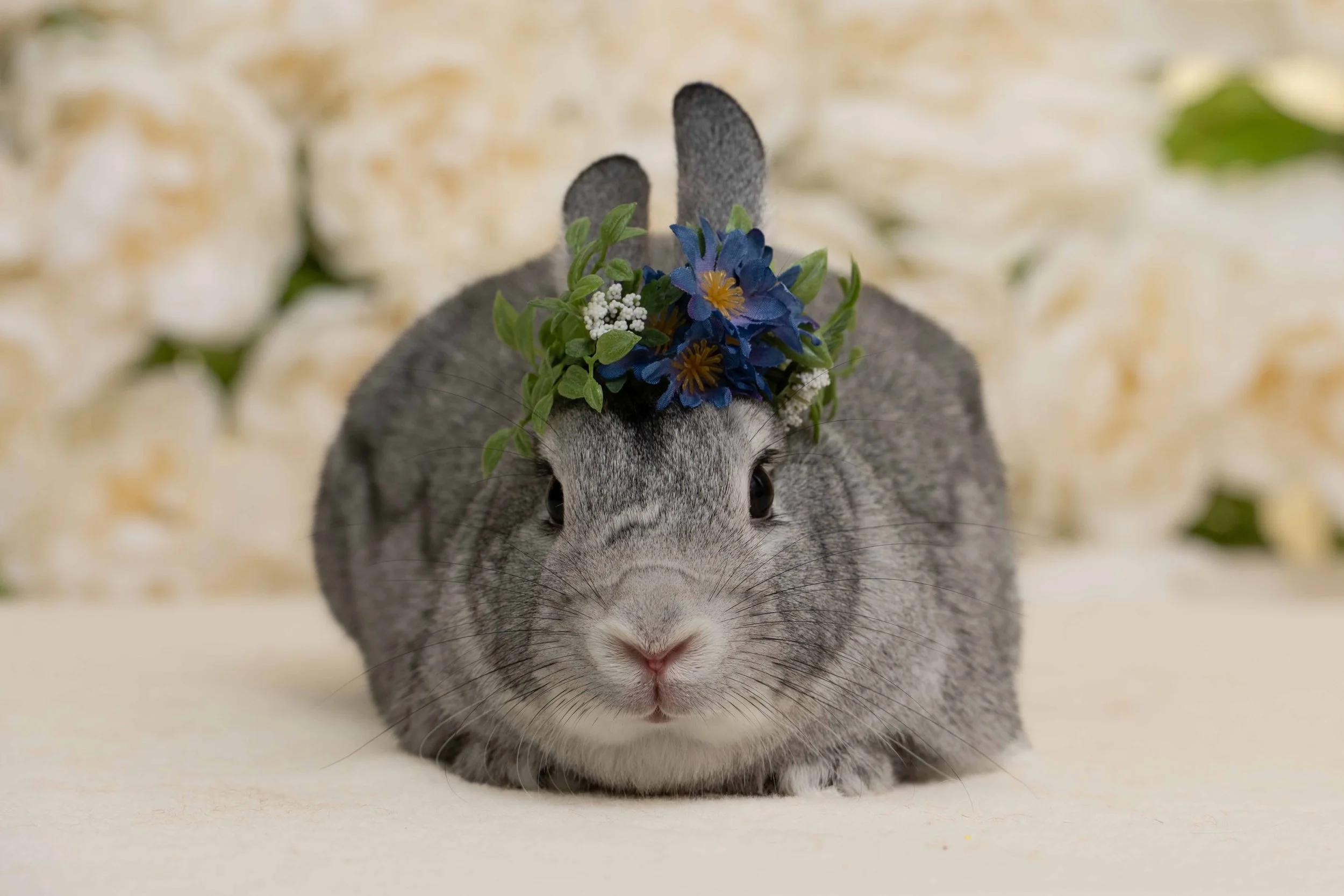 HRS Spring Photos 2.jpg