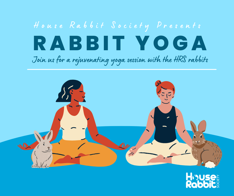 Spring Rabbit Yoga