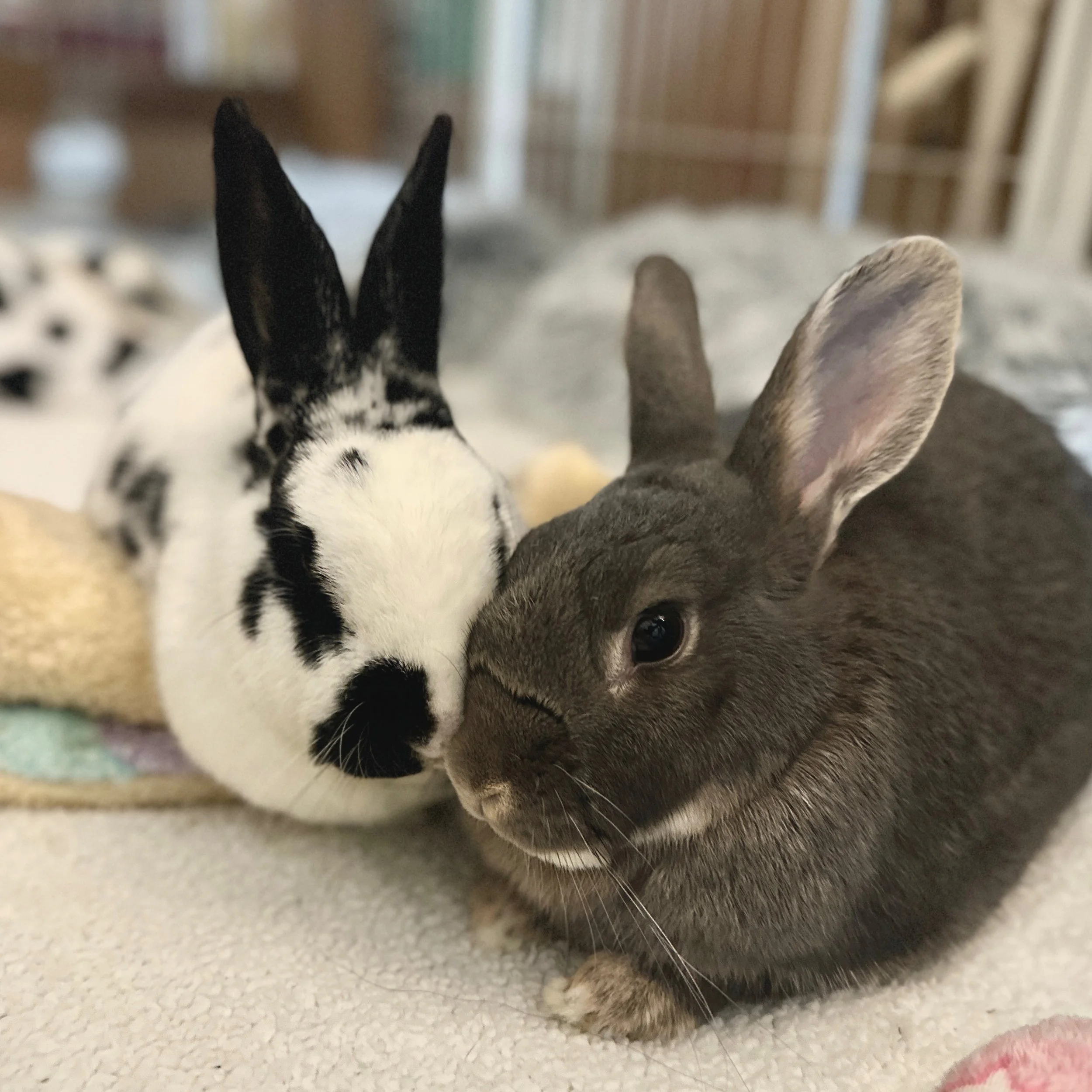 Moving Differently, Living Fully: Boo’s Story