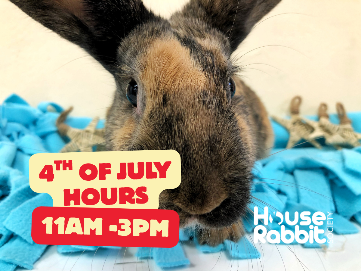 4th of July Hours