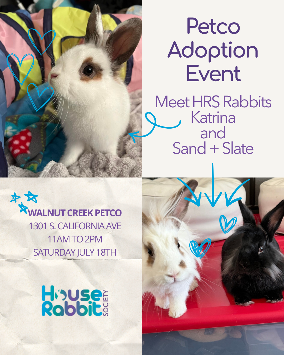 Monthly Petco Adoption Event