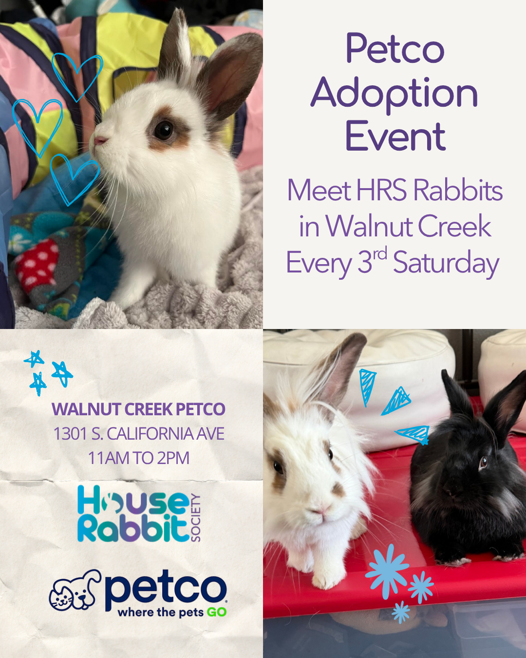 August 2026 Petco Adoption Event