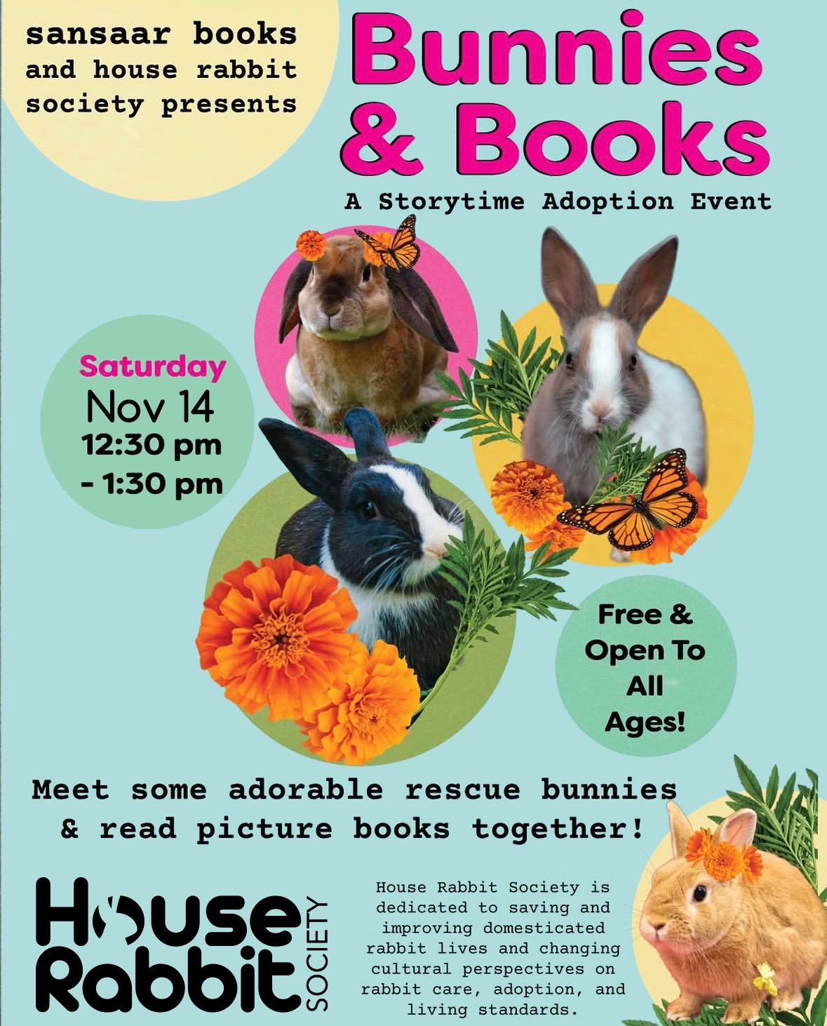 Books and Bunnies at Sansaar Books