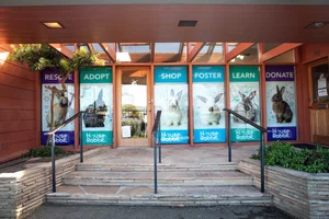 Visit — House Rabbit Society