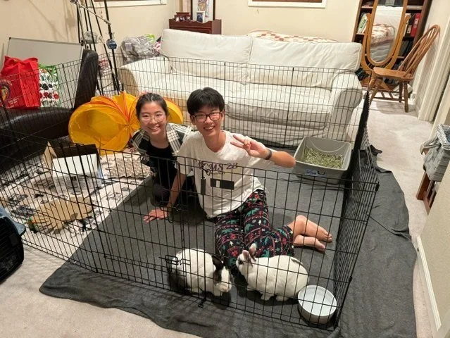 Children and Rabbits — House Rabbit Society