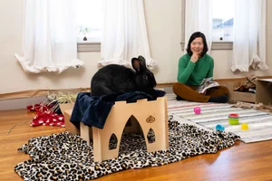 Rabbit Care — House Rabbit Society